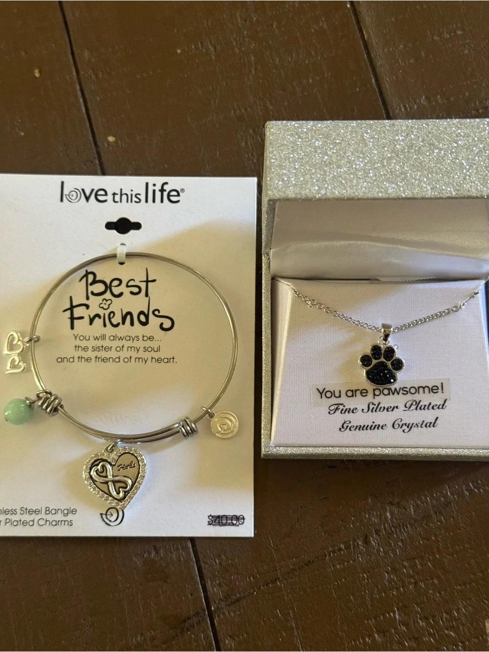 Silver jewelry lot: Love this life best friends bangle + Paw print necklace NWT